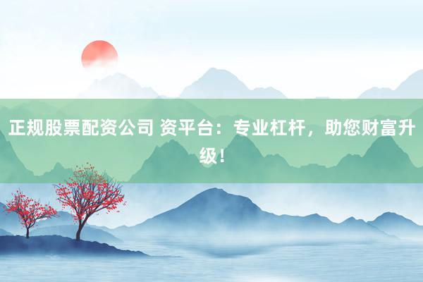 正规股票配资公司 资平台：专业杠杆，助您财富升级！