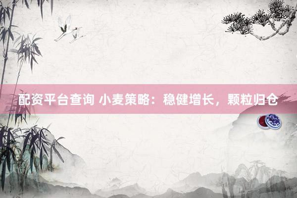 配资平台查询 小麦策略：稳健增长，颗粒归仓
