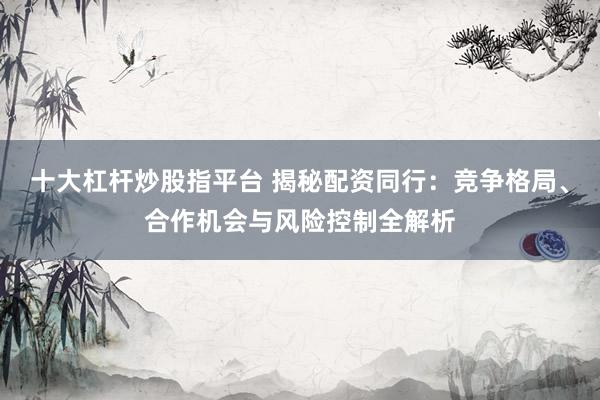十大杠杆炒股指平台 揭秘配资同行：竞争格局、合作机会与风险控制全解析