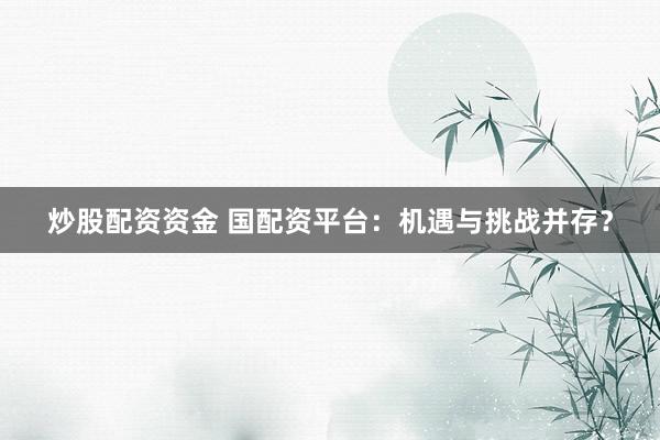 炒股配资资金 国配资平台：机遇与挑战并存？
