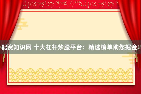 配资知识网 十大杠杆炒股平台：精选榜单助您掘金！