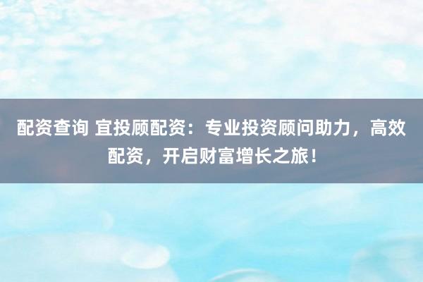 配资查询 宜投顾配资：专业投资顾问助力，高效配资，开启财富增长之旅！