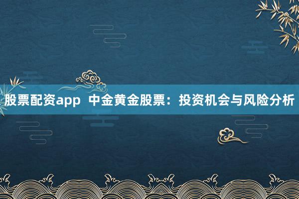 股票配资app  中金黄金股票：投资机会与风险分析