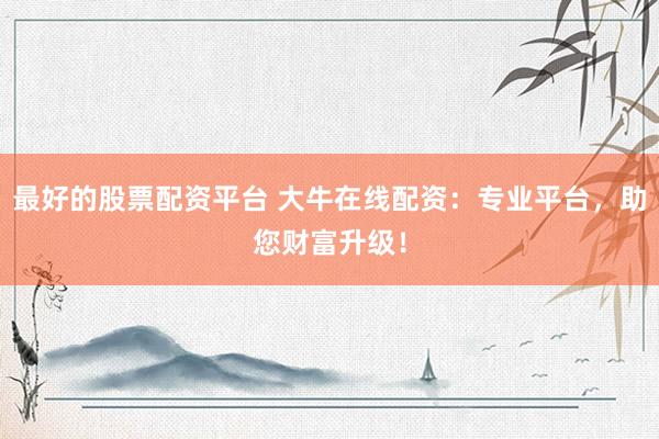 最好的股票配资平台 大牛在线配资：专业平台，助您财富升级！