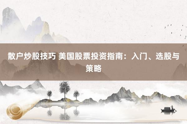 散户炒股技巧 美国股票投资指南：入门、选股与策略