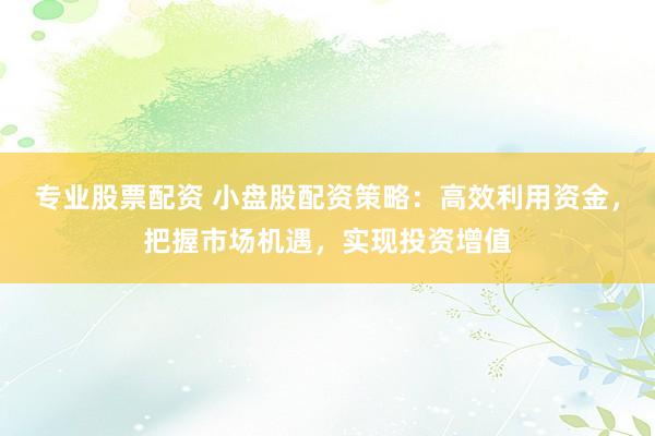 专业股票配资 小盘股配资策略：高效利用资金，把握市场机遇，实现投资增值