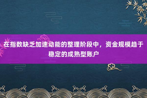 在指数缺乏加速动能的整理阶段中，资金规模趋于稳定的成熟型账户