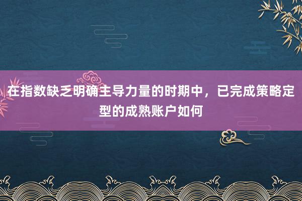 在指数缺乏明确主导力量的时期中,已完成策略定型的成熟账户如何