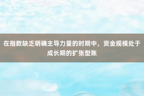 在指数缺乏明确主导力量的时期中，资金规模处于成长期的扩张型账