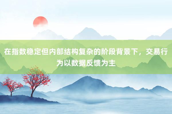 在指数稳定但内部结构复杂的阶段背景下,交易行为以数据反馈为主