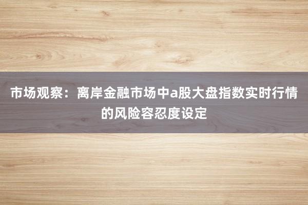 市场观察：离岸金融市场中a股大盘指数实时行情的风险容忍度设定