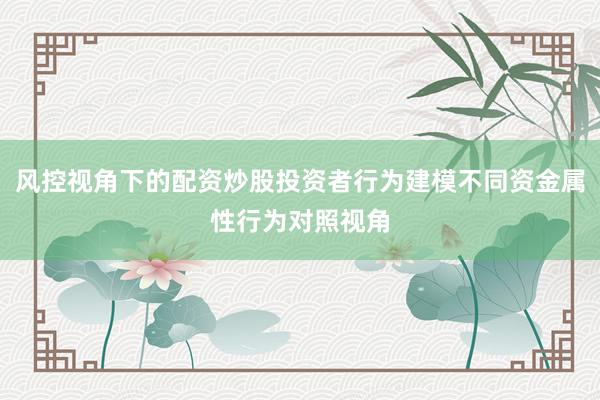 风控视角下的配资炒股投资者行为建模不同资金属性行为对照视角