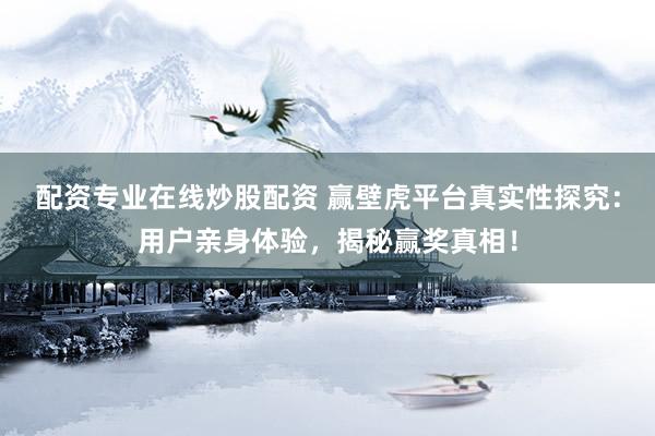 配资专业在线炒股配资 赢壁虎平台真实性探究：用户亲身体验，揭秘赢奖真相！