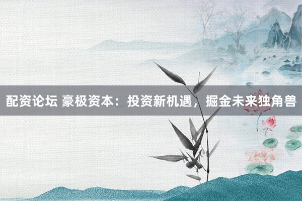 配资论坛 豪极资本:投资新机遇,掘金未来独角兽